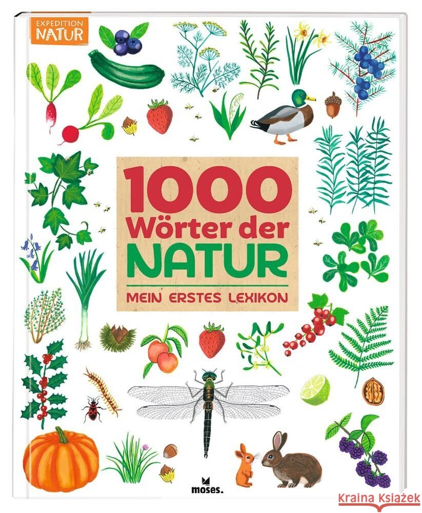 1000 Wörter der Natur  9783964554024 moses. Verlag - książka