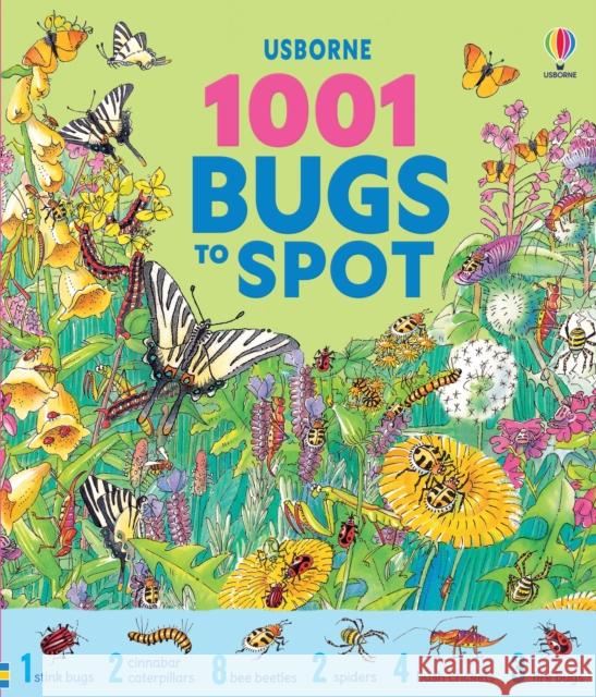 1001 Bugs to Spot Emma Helbrough 9781836041931 Usborne Publishing Ltd - książka
