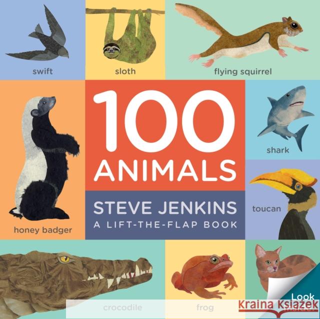 100 Animals Board Book: Lift-The-Flap Jenkins, Steve 9780358105459 Houghton Mifflin - książka