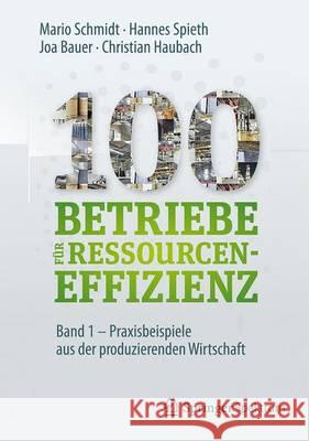 100 Betriebe Für Ressourceneffizienz - Band 1: Praxisbeispiele Aus Der Produzierenden Wirtschaft Institute for Industrial Ecology Inec 9783662533666 Springer Spektrum - książka