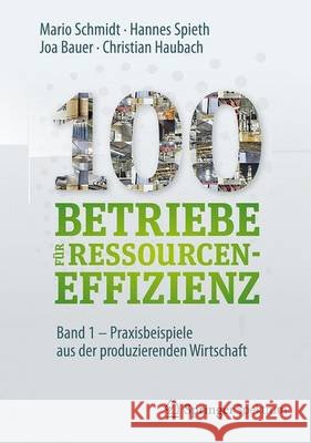 100 Betriebe Für Ressourceneffizienz - Band 1: Praxisbeispiele Aus Der Produzierenden Wirtschaft Institute for Industrial Ecology Inec 9783662533666 Springer Spektrum - książka
