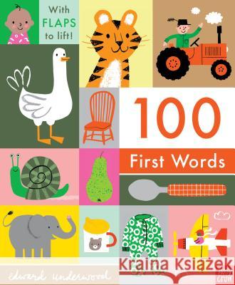 100 First Words Nosy Crow                                Edward Underwood 9781536208221 Nosy Crow - książka