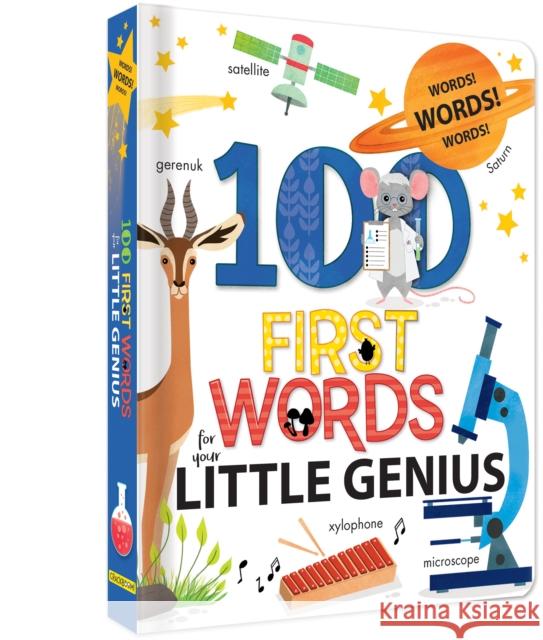 100 First Words for Little Genius Paradis, Anne 9782898020544 Crackboom! Books - książka