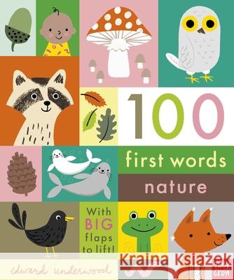 100 First Words: Nature  9781788009980 Nosy Crow Ltd - książka