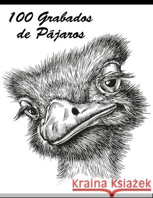 100 Grabados de Pájaros Snels, Nick 9798507499441 Independently published - książka