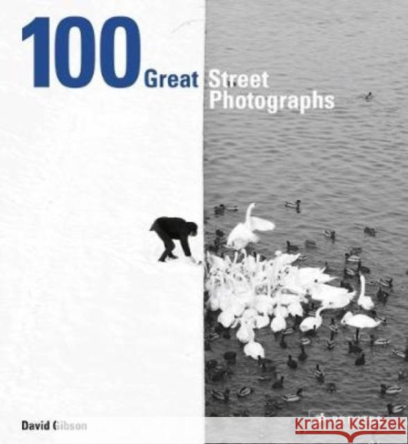 100 Great Street Photographs Gibson David 9783791383132 Prestel - książka