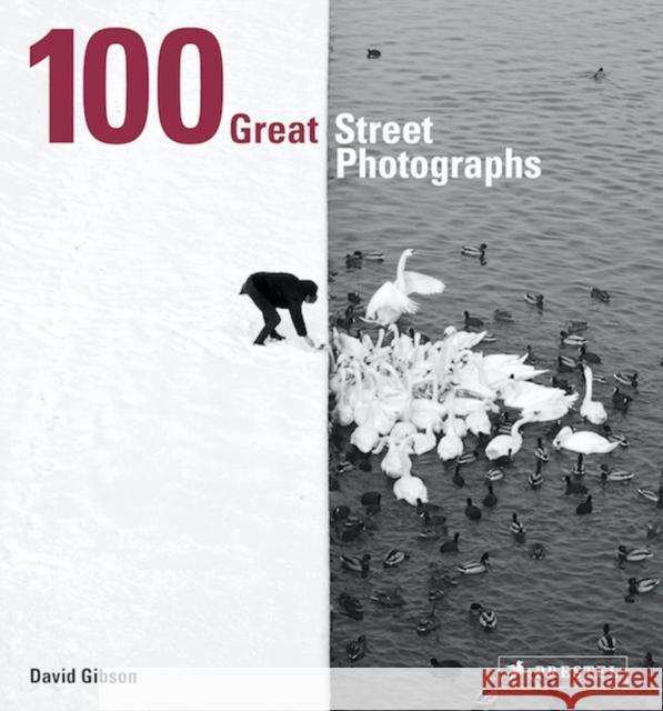 100 Great Street Photographs: Paperback Edition David Gibson 9783791384382 Prestel Publishing - książka