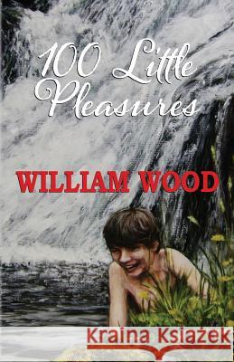 100 Little Pleasures William Wood 9781907984181 Sunpenny Limited - książka