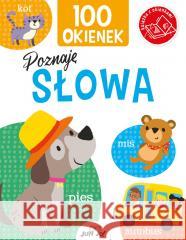 100 okienek. Poznaję słowa Kit Elliot 9788381449724 Jedność - książka