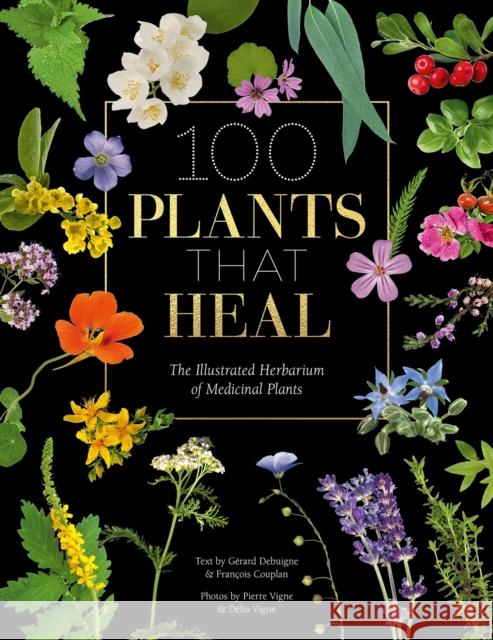 100 Plants That Heal: The Illustrated Herbarium of Medicinal Plants  9781446308776 David & Charles - książka