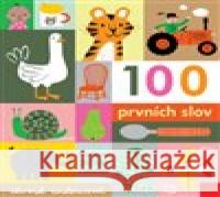 100 prvních slov Edward Underwood 9788025629260 Svojtka & Co. - książka