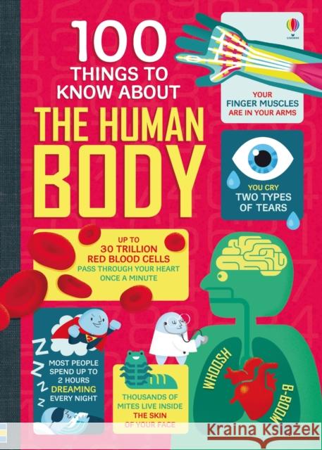 100 Things to Know About the Human Body Jonathan Melmoth 9781474916158 Usborne Publishing Ltd - książka