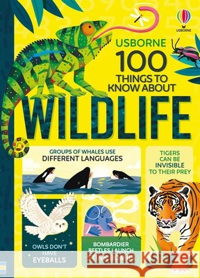 100 Things to Know about Wildlife Alice James Victoria Williams Rose Hall 9781836055013 Usborne Books - książka