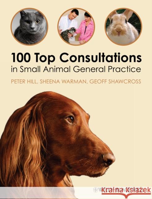 100 Top Consultations in Small Animal General Practice Peter Hill Sheena Warman Geoff Shawcross 9781405169493 John Wiley and Sons Ltd - książka
