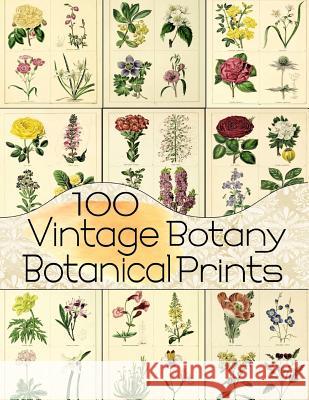 100 Vintage Botany Botanical Prints C. Anders 9781723879944 Independently Published - książka