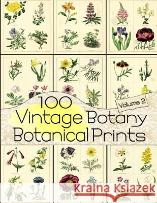 100 Vintage Botany Botanical Prints Volume 2 C. Anders 9781071101742 Independently Published - książka