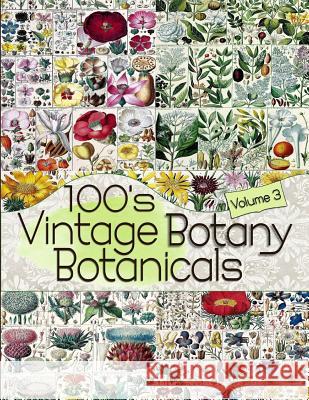 100's Vintage Botany Botanicals Volume 3 C. Anders 9781072239680 Independently Published - książka