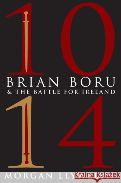 1014: Brian Boru & the Battle for Ireland Morgan Llywelyn 9781847175571 O'Brien Press Ltd - książka