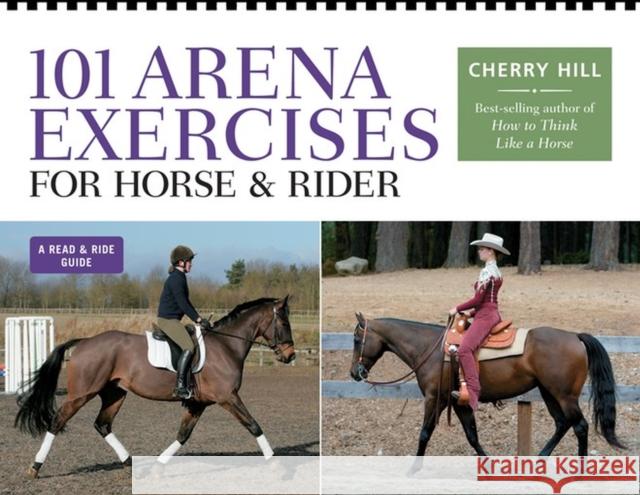 101 Arena Exercises for Horse & Rider Cherry Hill 9780882663166 Storey Publishing - książka