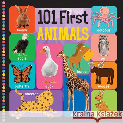 101 First Animals Flowerpot Press 9781486730131 Flowerpot Press - książka