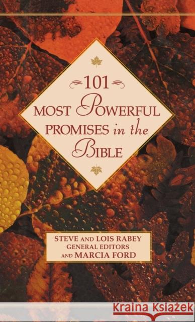101 Most Powerful Promises in the Bible Steve Rabey Lois Rabey Marcia Ford 9780446532143 Faithwords - książka