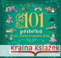 101 příběhů ze začarovaného lesa Alida Massari 9788025629598 Svojtka & Co. - książka