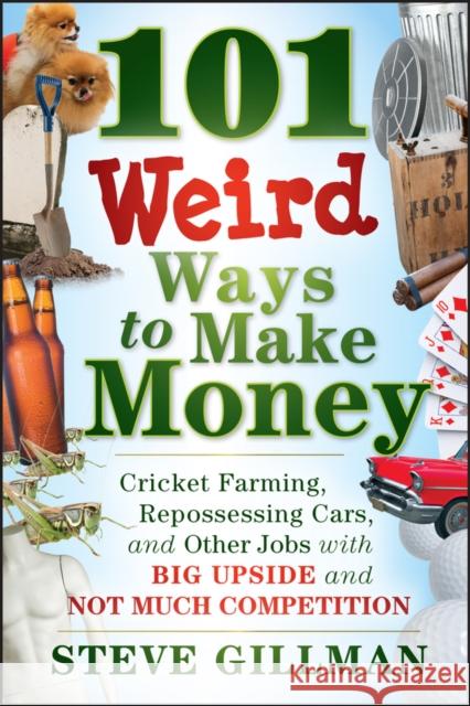 101 Weird Ways to Make Money Gillman, Steve 9781118014189  - książka