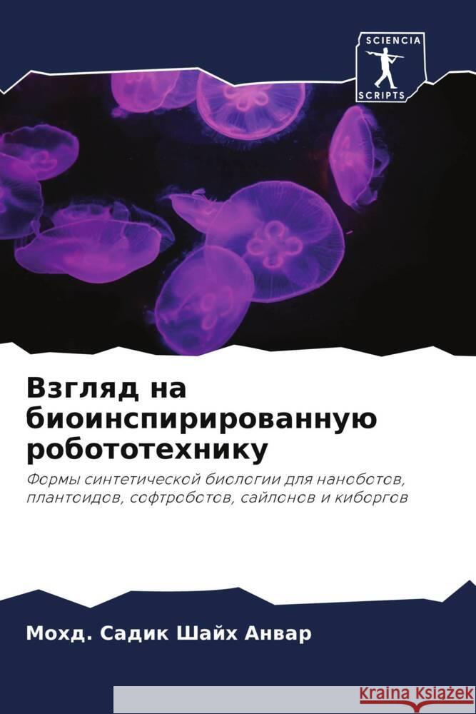 Взгляд на биоинспириров& Шайх А
 9786205834565 Sciencia Scripts - książka