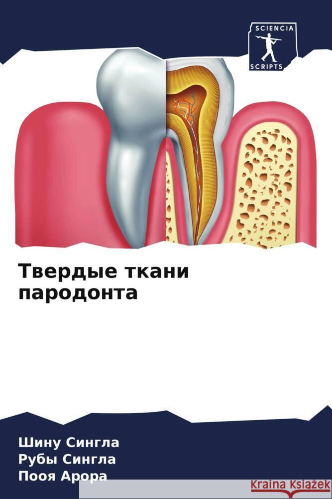 Твердые ткани пародонта Синглk Синглk  Арора 9786207054688 Sciencia Scripts - książka