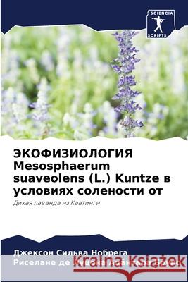 ЭКОФИЗИОЛОГИЯ Mesosphaerum suaveolens (L.) Kuntze в ус Нобреk  Бруно 9786207756322 Sciencia Scripts - książka