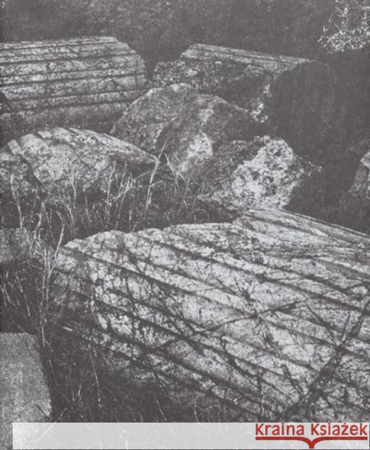 1099 Sybren Vanoverberghe 9789493146105 APE - książka