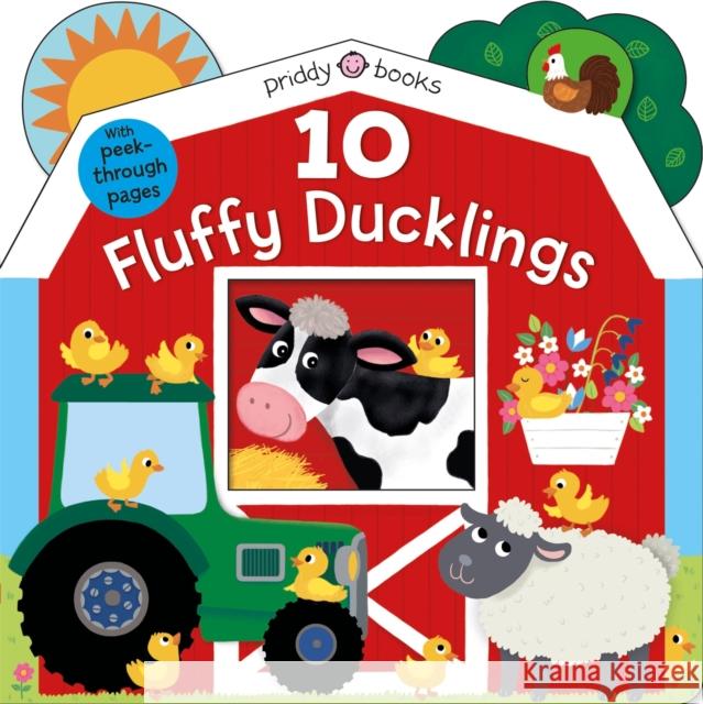 10 Fluffy Ducklings Roger Priddy 9781838990855 Priddy Books - książka