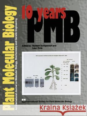 10 Years Plant Molecular Biology R.A. Schilperoort, Leon Dure 9789401051743 Springer - książka