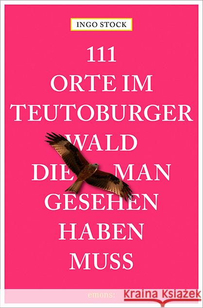 111 Orte im Teutoburger Wald, die man gesehen haben muss Stock, Ingo 9783740817152 Emons Verlag - książka