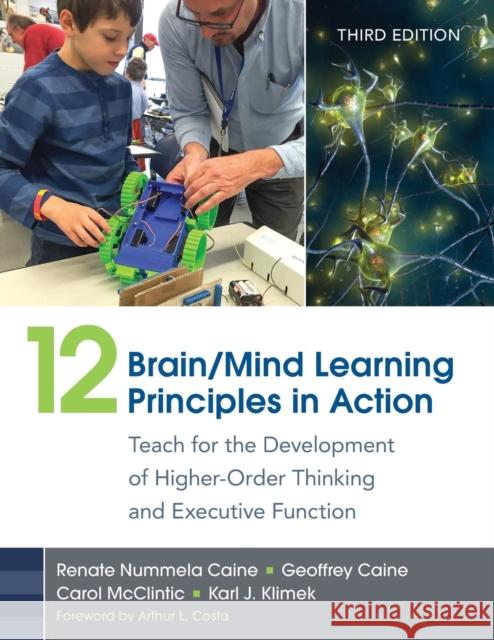 12 Brain/Mind Learning Principles in Action: Teach for the Development of Higher-Order Thinking and Executive Function Renate Nummela Caine Geoffrey Caine Carol Lynn McClintic 9781483382722 Corwin Publishers - książka