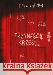 13 krzeseł Dave Shelton, Dave Shelton, Anna Kłosiewicz 9788381415385 Dwukropek - książka