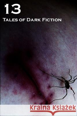 13: Tales of Dark Fiction Adam Bradley, Tommy B. Smith, Eric S Brown, Joseph D'Lacey, Gary Fry (Norwegian Agricultural University, Oslo, Norway),  9781470990510 Lulu.com - książka
