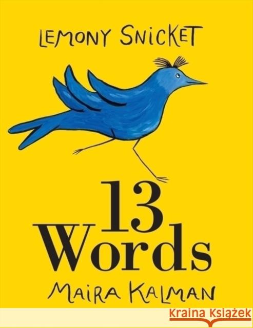 13 Words Lemony Snicket Maira Kalman 9780061664670 HarperCollins - książka