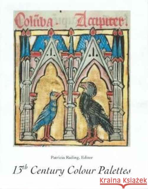 13th Century Colour Palettes Patricia Railing 9780946311255 Artists Bookworks - książka