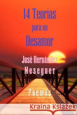 14 Teorías Para Un Desamor Hernández Meseguer, José 9798462884702 Independently published - książka