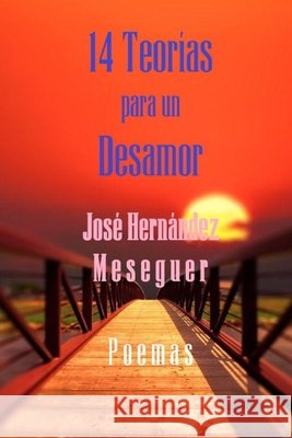 14 Teorías Para Un Desamor Hernández Meseguer, José 9798462884702 Independently published - książka