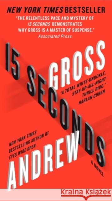 15 Seconds Andrew Gross 9780061656033 HarperCollins - książka