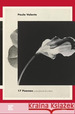 17 poemas y una canci?n de amor Paula Valente 9786316688149 Buenos Aires Poetry - książka