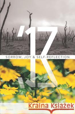 '17: Sorrow, Joy & Self-Reflection Kyle Bradley 9781731360168 Independently Published - książka