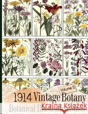 1914 Vintage Botany Botanical Illustration Sizes C. Anders 9781086224139 Independently Published - książka