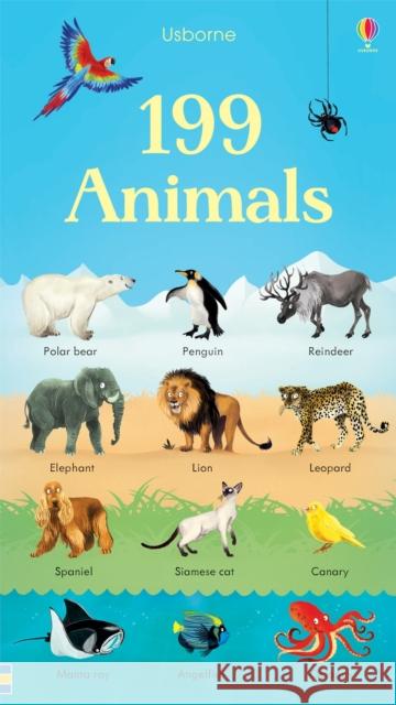 199 Animals Holly Bathie 9781474922135 Usborne Publishing Ltd - książka