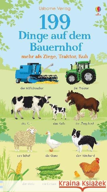 199 Dinge auf dem Bauernhof : mehr als Ziege, Traktor, Kuh Bathie, Holly 9781789411294 Usborne Verlag - książka