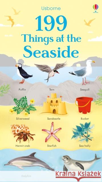 199 Things at the Seaside Bathie, Holly 9781474936903 Usborne Publishing Ltd - książka