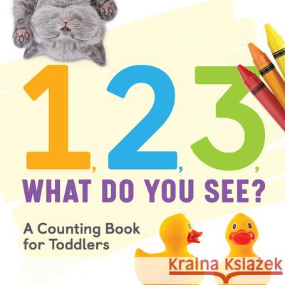 1, 2, 3, What Do You See?: A Counting Book for Toddlers Rockridge Press 9781648767364 Rockridge Press - książka