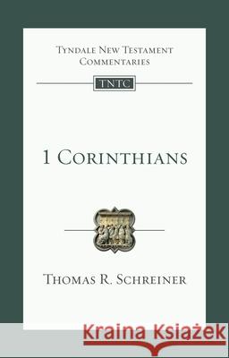 1 Corinthians: An Introduction and Survey Johnson, Alan F. 9781844740338 INTER-VARSITY PRESS - książka